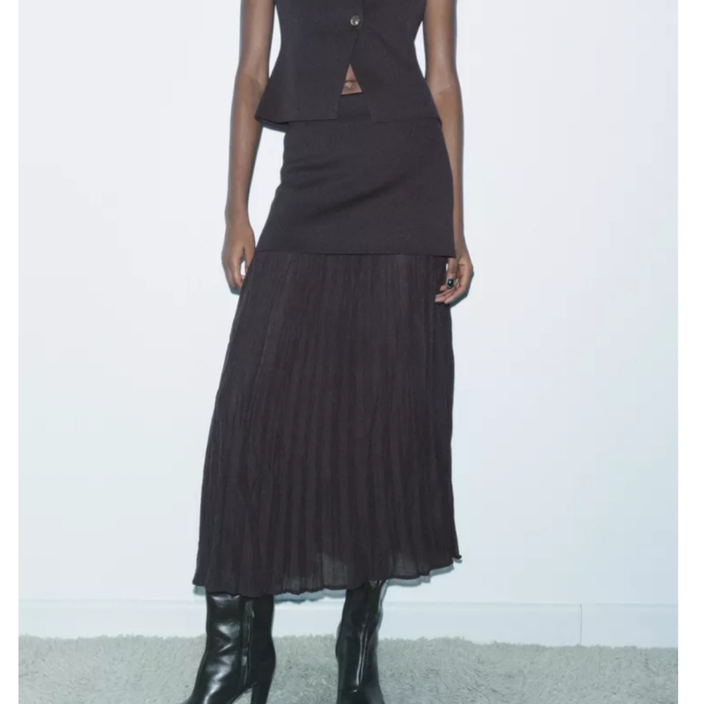 Zara // Medium Semi Sheer Skirt